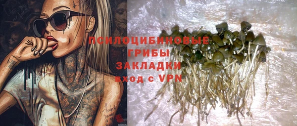 Альфа ПВП Вяземский