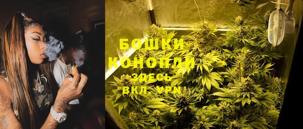 прущие грибы Волоколамск
