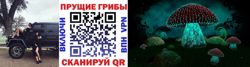 Галлюциногенные грибы Psilocybe  закладки  Благовещенск 
